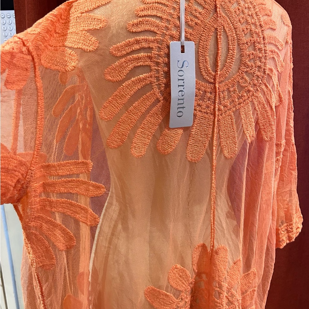 Sorrento Orange Sheer Embroidered Top
